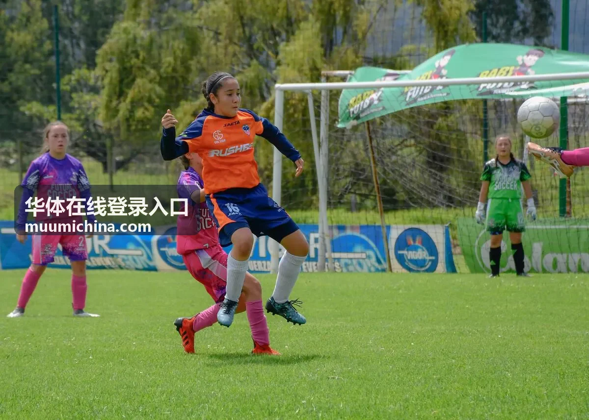 华体在线登录入口会员权益使用记录封面